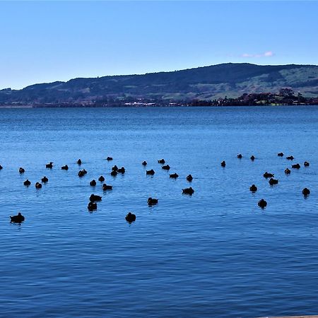 Family Getaway Villa Rotorua Dış mekan fotoğraf